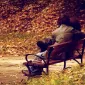 Осень для влюбленных