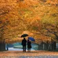 Осень для влюбленных