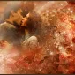 Осень для влюбленных