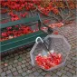 Осень для влюбленных