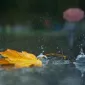 Осень для влюбленных