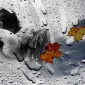 Осень для влюбленных