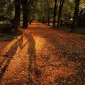 Осень для влюбленных