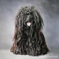 Пушистый мир Rachael Hale
