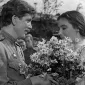 Летят журавли