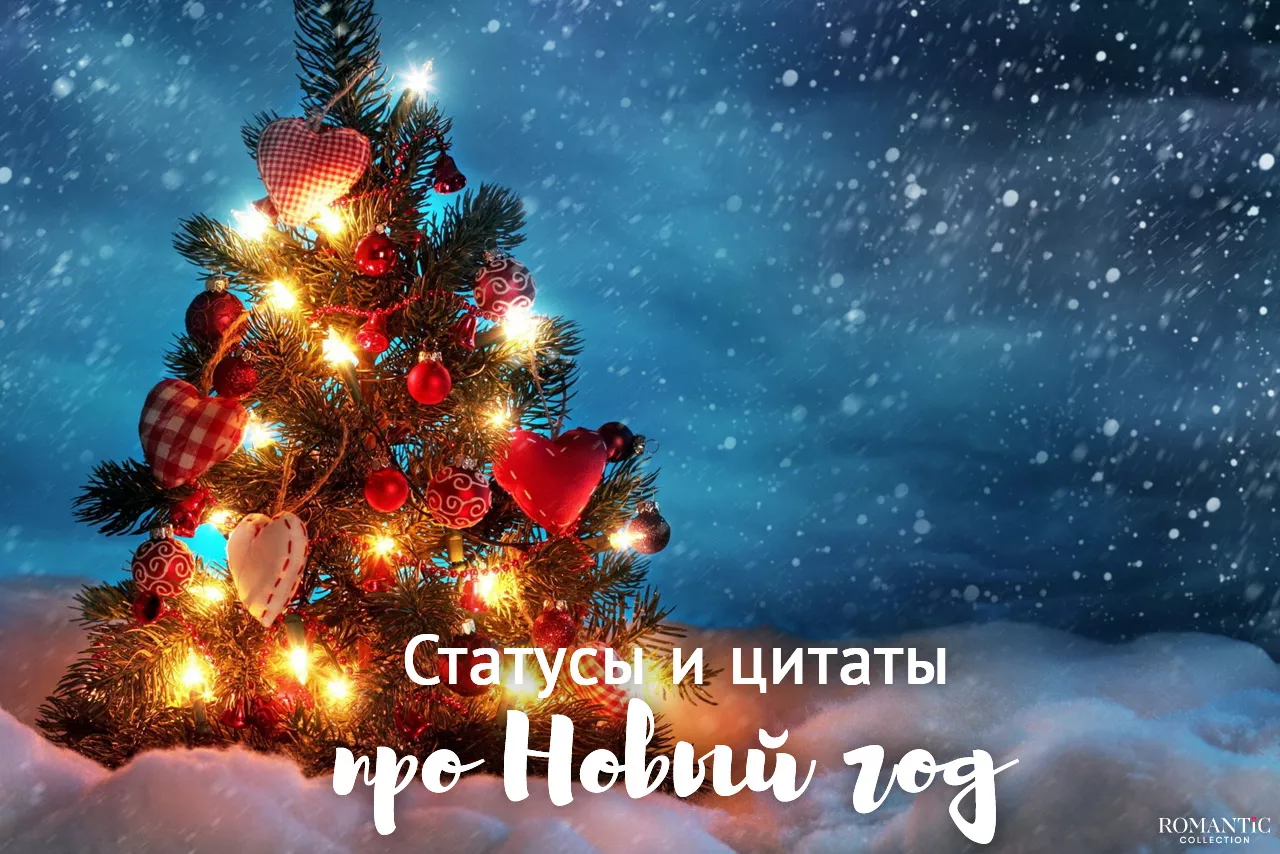 Статусы и фразы про Новый год Статусы и фразы про Новый год