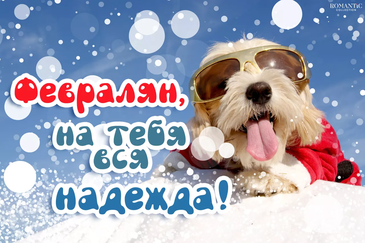 Статусы про февраль Статусы про февраль