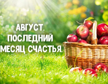 Красивые статусы и цитаты про август