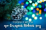 Статусы и фразы про Старый Новый год