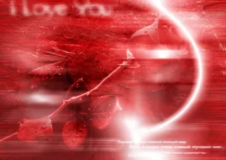Обои о любви: I Love You