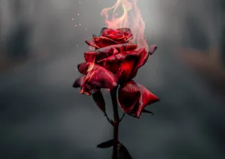 Стихи о любви и ненависти