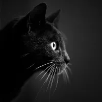 Марина
