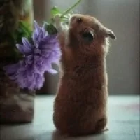 Аватара пользователя a9uka777