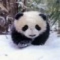 Аватара пользователя bukabyaka